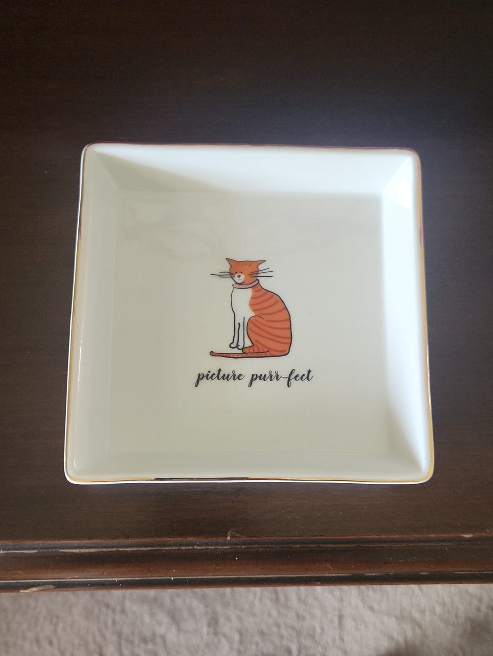 Picture Purr-fect Cat Trinket Dish - Orange